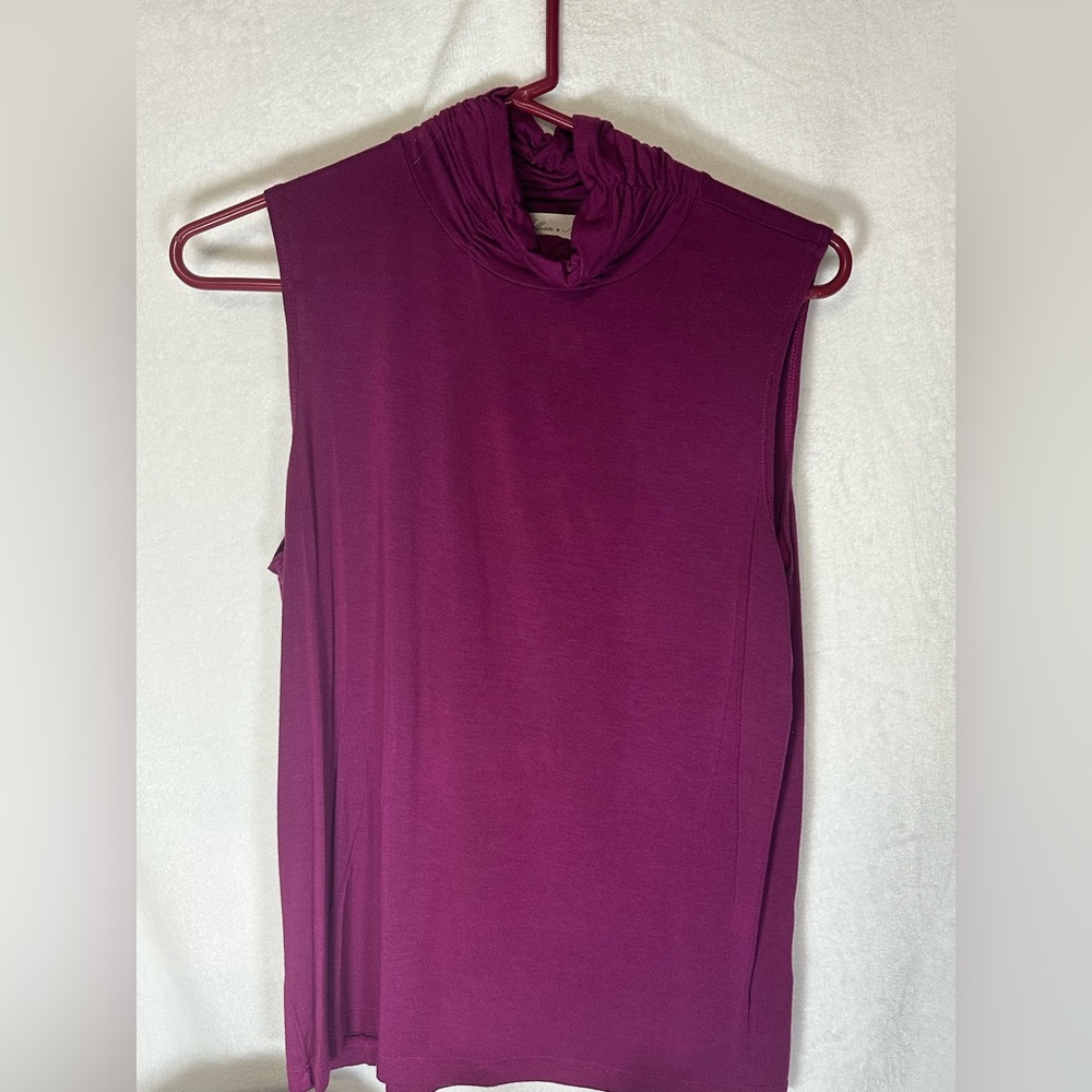 Sleeveless Plum Top